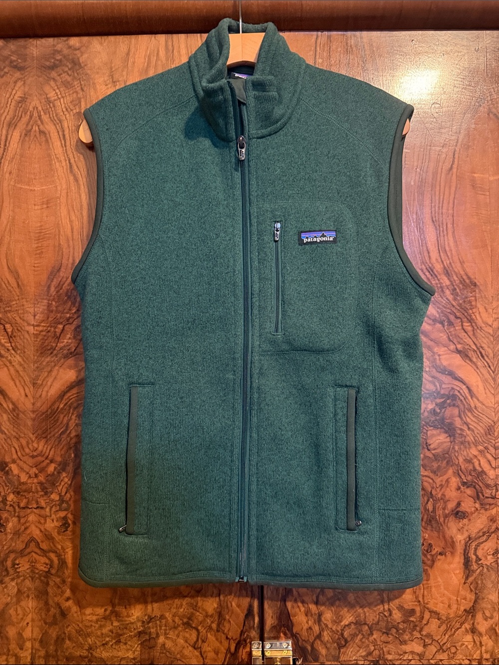 Patagonia Dark Green Full-Zip Fleece Vest